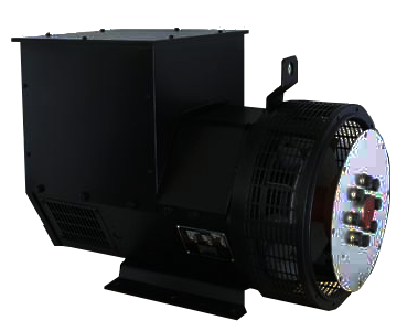 224G 80 kW Generator